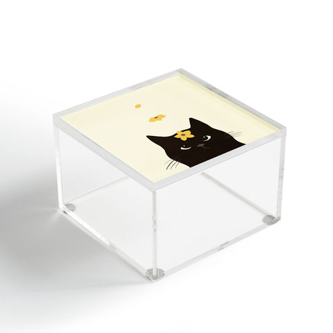 Jimmy Tan Hidden cat 20 spring yellow Acrylic Box