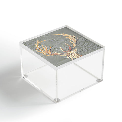 John Turner Jr Inconspicuous W Acrylic Box