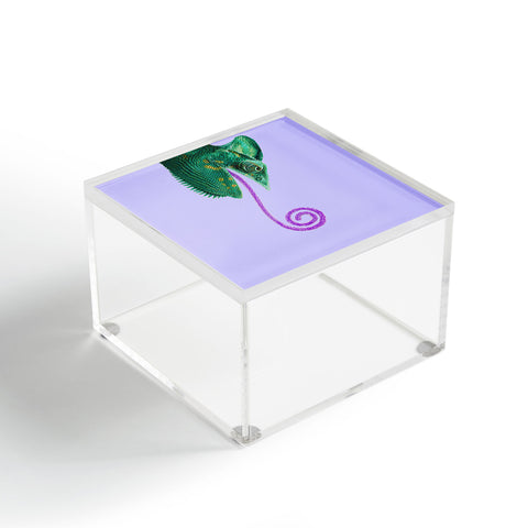 Jonas Loose Candy Chameleon Acrylic Box