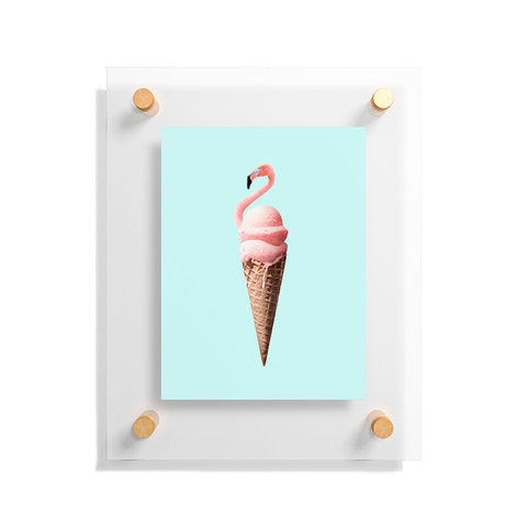 Jonas Loose Flamingo Cone Floating Acrylic Print
