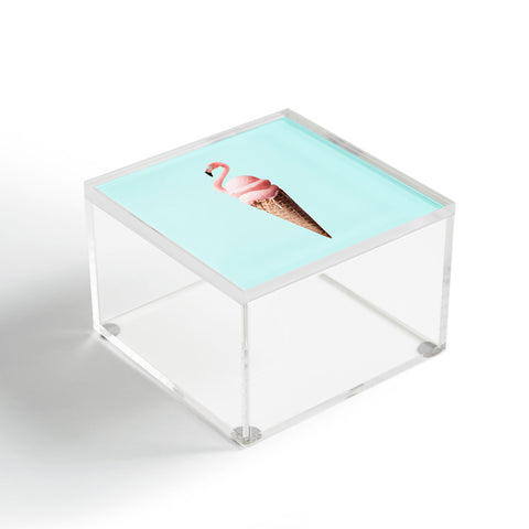 Jonas Loose Flamingo Cone Acrylic Box