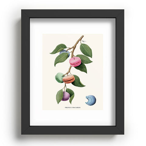 Jonas Loose Macaron Plant Recessed Framing Rectangle