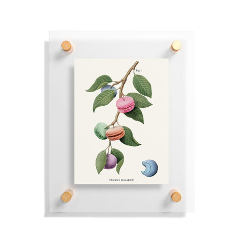 Jonas Loose Macaron Plant Floating Acrylic Print