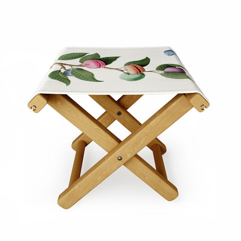Jonas Loose Macaron Plant Folding Stool