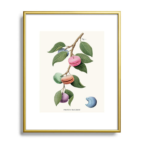 Jonas Loose Macaron Plant Metal Framed Art Print