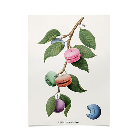 Jonas Loose Macaron Plant Poster