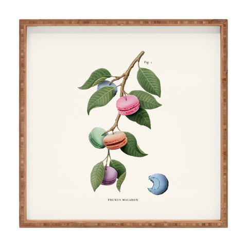 Jonas Loose Macaron Plant Square Tray