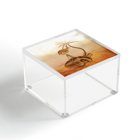 Jose Luis Guerrero Wreck Acrylic Box