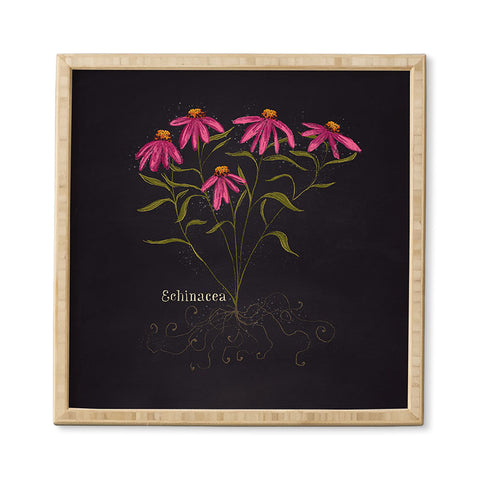 Joy Laforme Herb Garden Echinacea Framed Wall Art