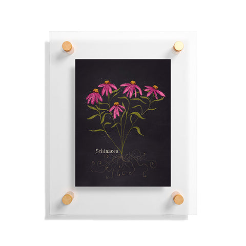 Joy Laforme Herb Garden Echinacea Floating Acrylic Print