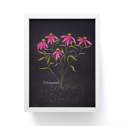 Joy Laforme Herb Garden Echinacea Framed Mini Art Print