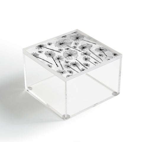 Julia Da Rocha Black Dandelion Acrylic Box