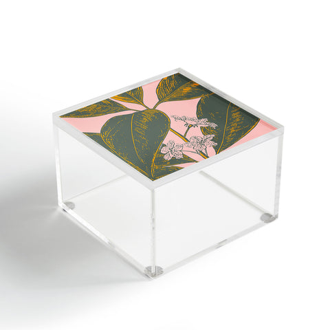 June Journal Modern Botanical Banana Leaf Acrylic Box