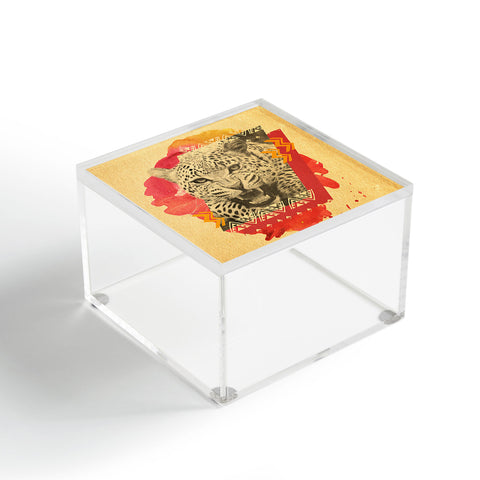 Kangarui Fierce Leopard Acrylic Box
