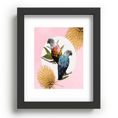 Kangarui Jolly Parrots Recessed Framing Rectangle