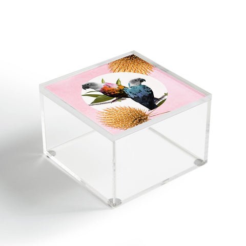 Kangarui Jolly Parrots Acrylic Box