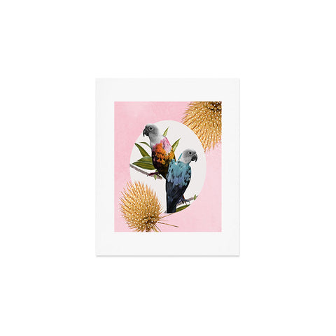 Kangarui Jolly Parrots Art Print