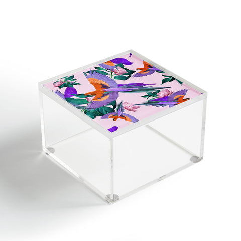 Kei Parrot Paradise Acrylic Box