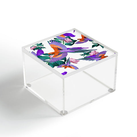 Kei Parrot Paradise II Acrylic Box