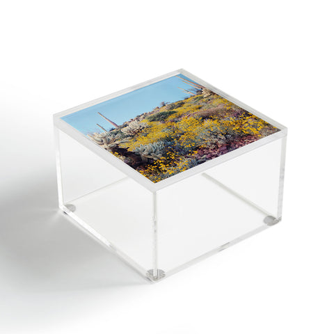 Kevin Russ Arizona Color Acrylic Box