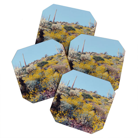 Kevin Russ Arizona Color Coaster Set