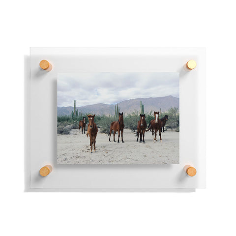 Kevin Russ Baha de los ngeles Wild Horses Floating Acrylic Print
