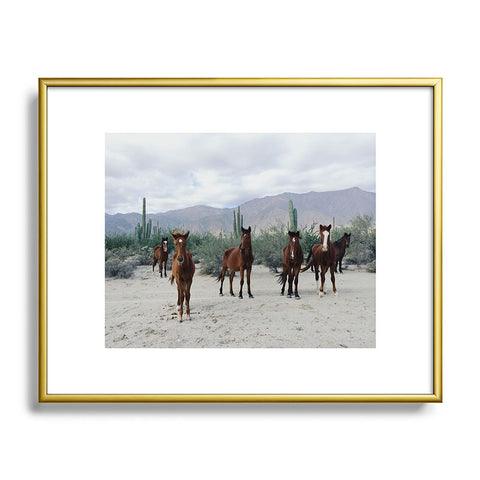 Kevin Russ Baha de los ngeles Wild Horses Metal Framed Art Print