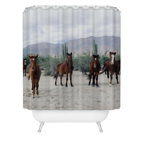 Kevin Russ Baha de los ngeles Wild Horses Shower Curtain