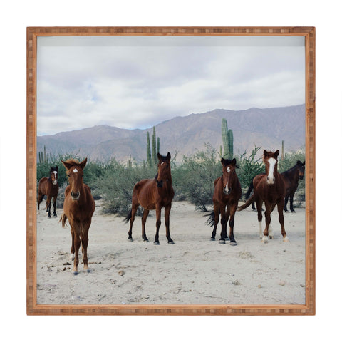 Kevin Russ Baha de los ngeles Wild Horses Square Tray