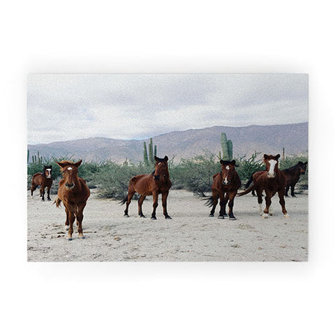 Kevin Russ Baha de los ngeles Wild Horses Welcome Mat
