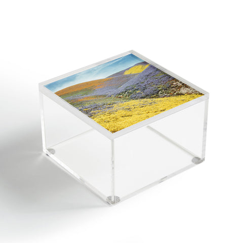 Kevin Russ Bloomtown California Acrylic Box