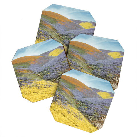 Kevin Russ Bloomtown California Coaster Set