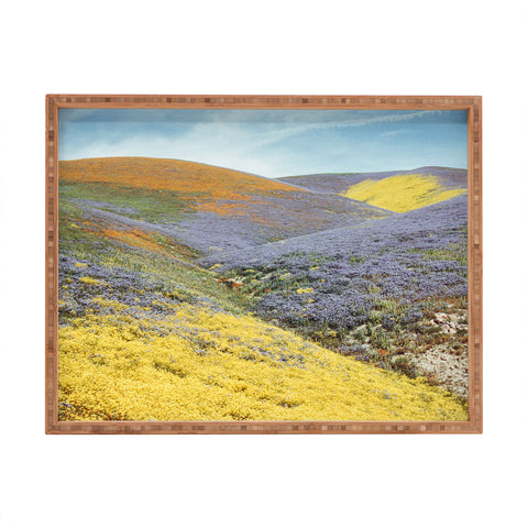 Kevin Russ Bloomtown California Rectangular Tray