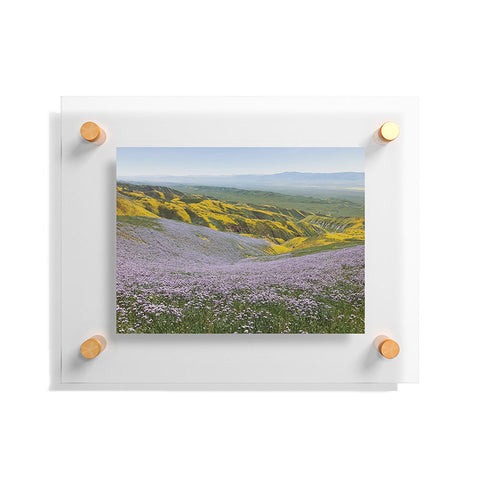 Kevin Russ California Wildflowers Floating Acrylic Print