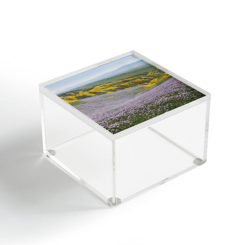 Kevin Russ California Wildflowers Acrylic Box
