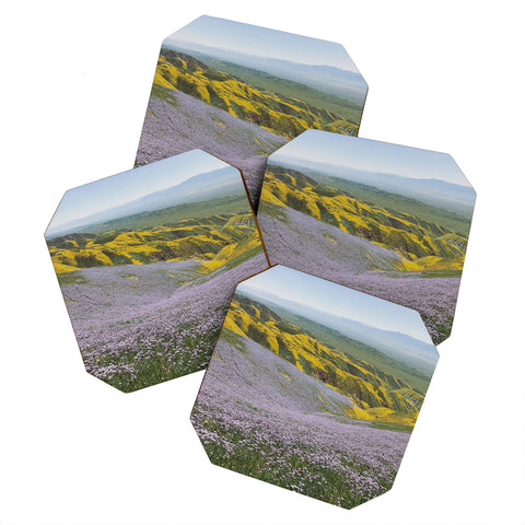 Kevin Russ California Wildflowers Coaster Set