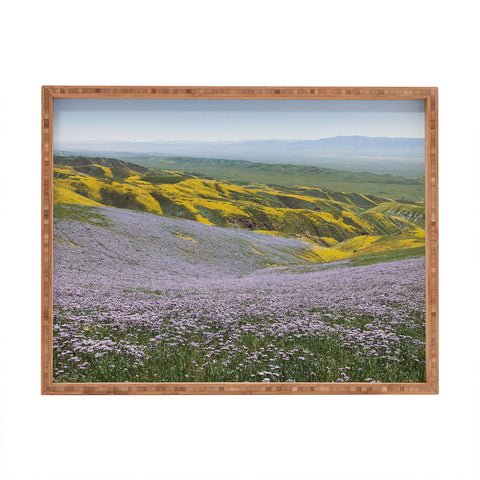 Kevin Russ California Wildflowers Rectangular Tray