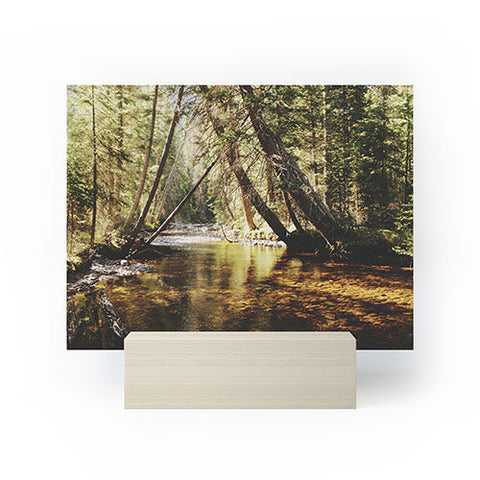 Kevin Russ East Inlet Creek Mini Art Print