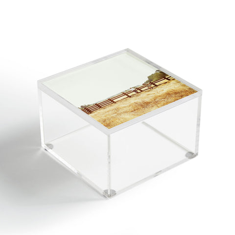 Kevin Russ Fence Standing Acrylic Box