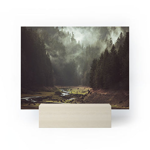 Kevin Russ Foggy Forest Creek Mini Art Print