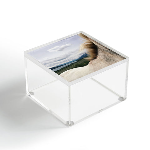 Kevin Russ Horse Back Acrylic Box