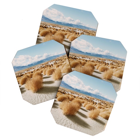 Kevin Russ Paiute Land Coaster Set