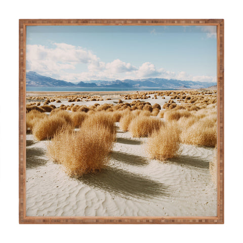 Kevin Russ Paiute Land Square Tray