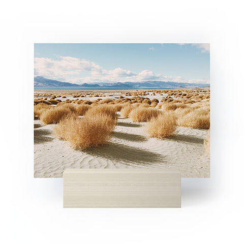 Kevin Russ Paiute Land Mini Art Print