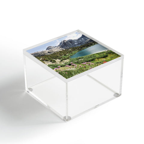 Kevin Russ Sierra Alpine Wildflowers Acrylic Box