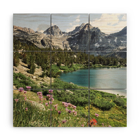 Kevin Russ Sierra Alpine Wildflowers Wood Wall Mural