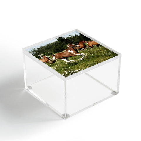 Kevin Russ Spring Horse Run Acrylic Box