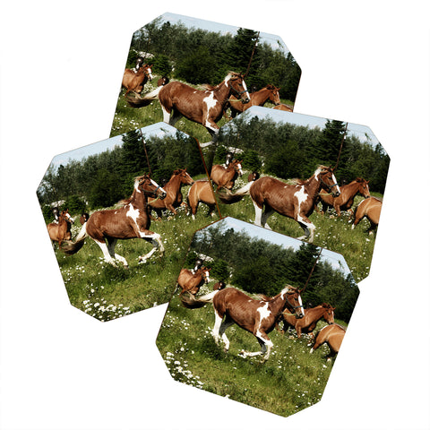 Kevin Russ Spring Horse Run Coaster Set