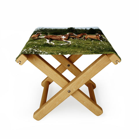 Kevin Russ Spring Horse Run Folding Stool