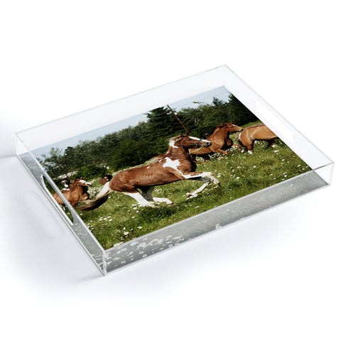 Kevin Russ Spring Horse Run Acrylic Tray